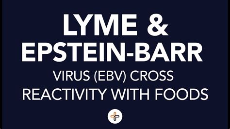 Lyme And Epstein Barr Virus Ebv Cross Reactivity With Foods Youtube