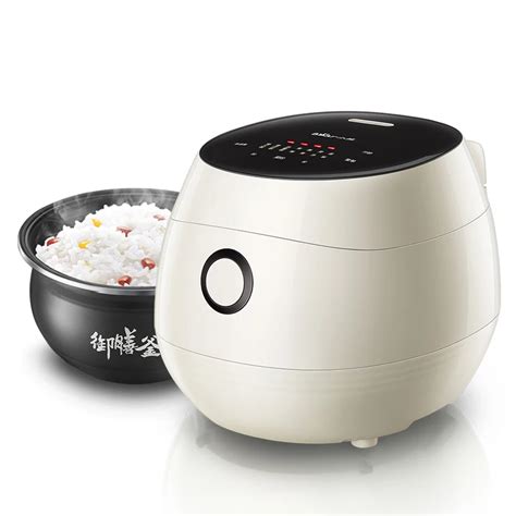 Aliexpress Buy Dmwd L Elegant Electric Rice Cooker Food Steamer