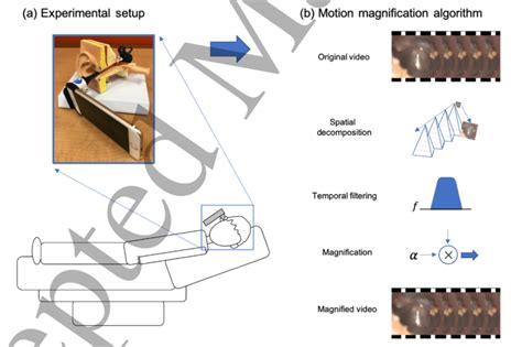 Schematic Diagram Of The Experimental Setup A And A Graphical Download Scientific Diagram