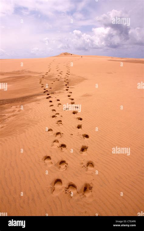 Des Traces De Pas Dans Le Sable Du Sentier Menant Au Sommet De La Dune