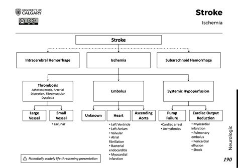 Stroke Ischemia Blackbook Blackbook