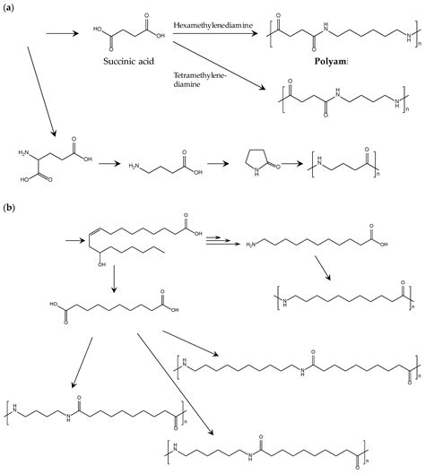 Polymers Free Full Text The Recent Developments In Biobased