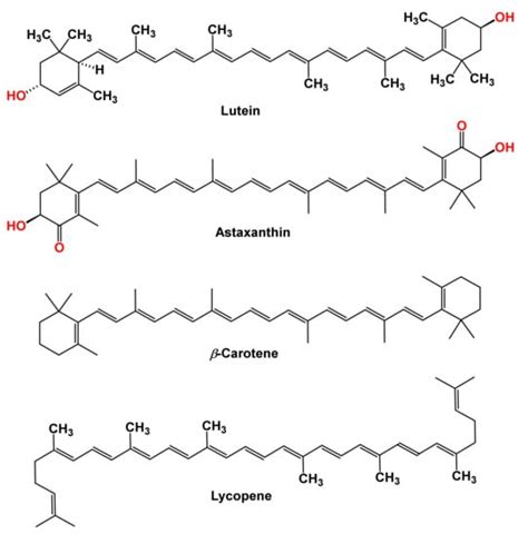 Molecules Free Full Text Carotenoids In Drug Discovery And Medicine