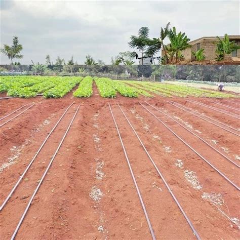 Custom Drip Irrigation Kit For 1 Hectare Vegetable Gardens Trees