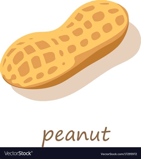 Peanut Icon Isometric 3d Style Royalty Free Vector Image