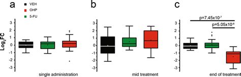 OHP Affects The Transcription Of NHE1 In The DRG In Vivo Mean