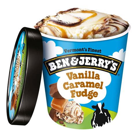 Ben And Jerrys Ice Cream Vanilla Caramel Fudge Ntuc Fairprice