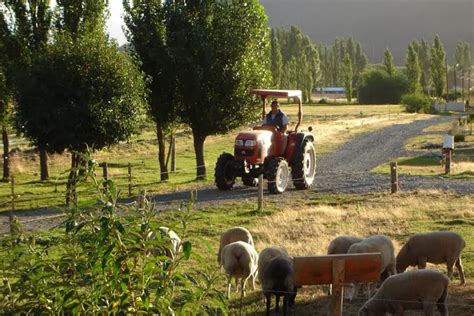 Chubut Potenciar El Agroturismo Para El Desarrollo Rural Patagonia