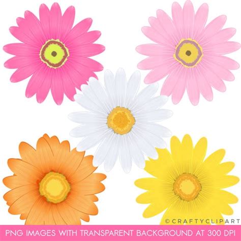 Daisy Flower Border Clip Art Free