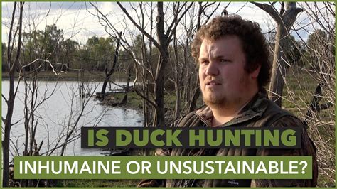 The Sustainability Of Duck Hunting In South Australia Exploring