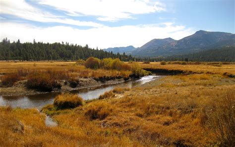 Pondering Knoll: Hope Valley, CA