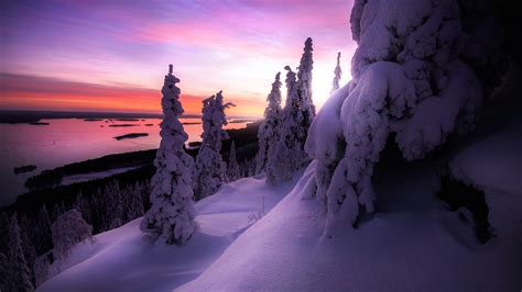 Snow Covered Winter Landscape 4k Wallpapers Hd Wallpapers Id 29993