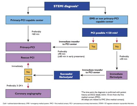 Manuali Di Medicina Intensiva Infarto Miocardico Acuto Stemi