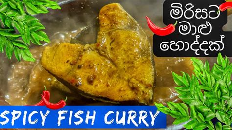 How To Cook Spicy Fish Curry මිරිසට මාළු හොද්දක් හදමු Youtube