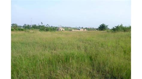 Farmland For Sale In Africa African Land