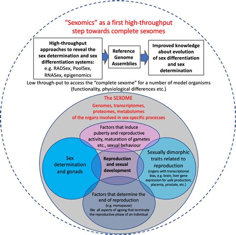 Figure 2 From A Brief Review Of Vertebrate Sex Evolution With A Pledge