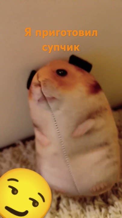 хомяк крутой 🐹 Youtube