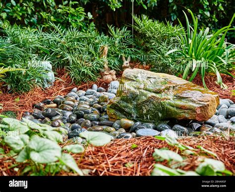 Rock and water garden hi-res stock photography and images - Alamy