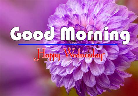 Download Good Morning Happy Wednesday Purple Flower Wallpaper