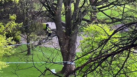 Police Investigate Serious Sexual Assault In Princes Street Gardens