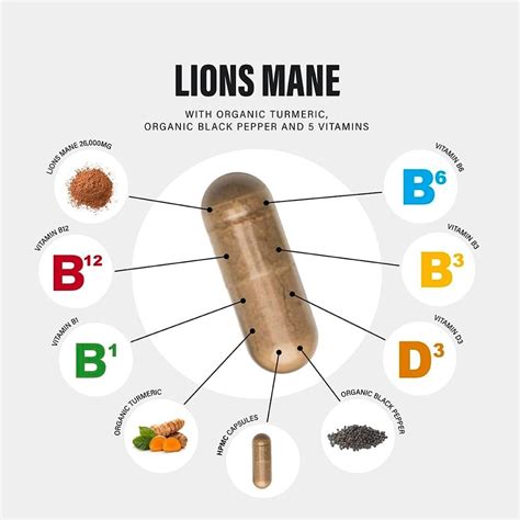 Lions Mane Supplement High Strength Mg Plus Vitamins From