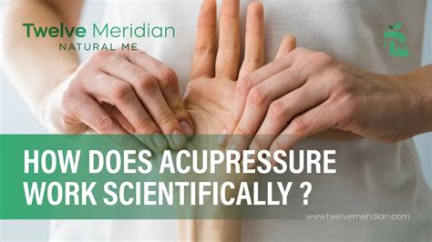 How Does Acupressure Work Scientifically Twelve Meridian