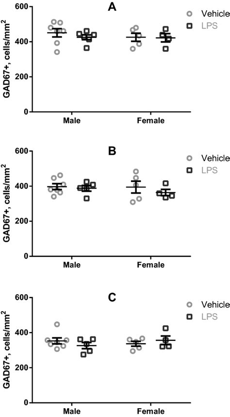 Neonatal Proinflammatory Challenge Evokes A Microglial Response And