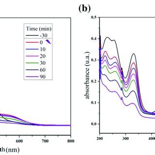 Reaction Absorbance Spectra Of Rifampicin Solution During The