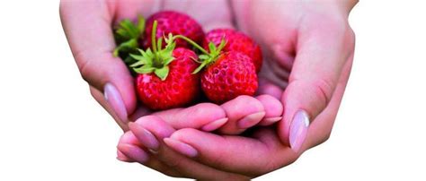 Propiedades Y Beneficios De Comer Fresas