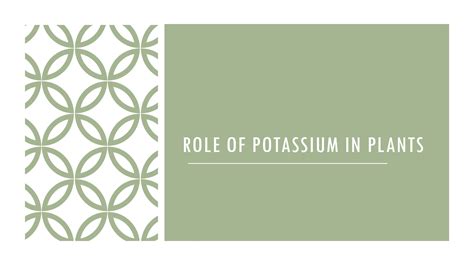 SOLUTION: Role of potassium in plants - Studypool