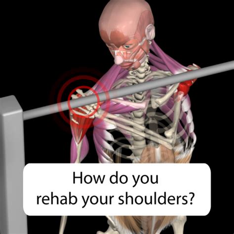 Managing Rotator Cuff Related Shoulder Pain | Muscle&Motion - Strength ...