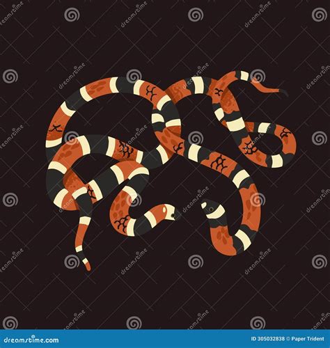 Scarlet Kingsnake with Striped Scale. Milk Snake with Ornamented Skin ...