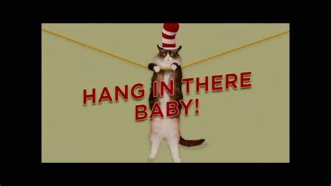 Hang In There Baby Cat Meme - Photos Idea