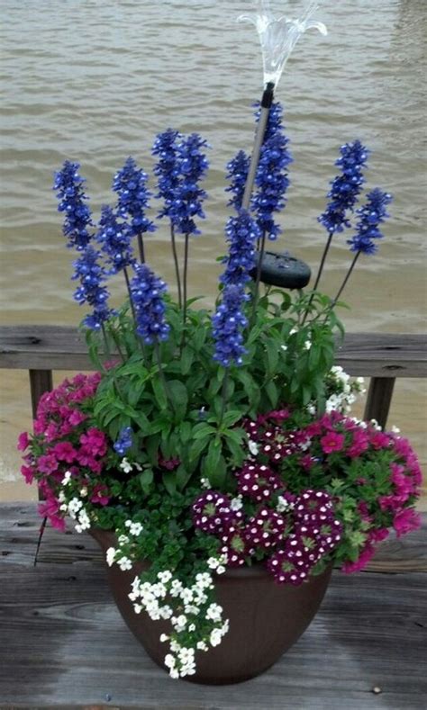 Great Container Garden With A Hardy Sun Loving Group Of Plants That Are Easy To Grow Container