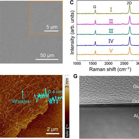 High Quality Graphene Film Consisting Of Highly Oriented Graphene