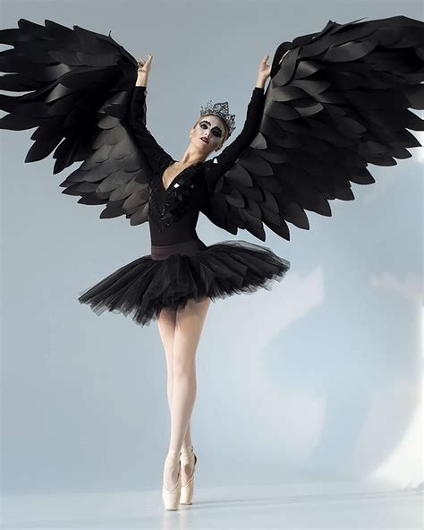 Black Swan Costume Wings