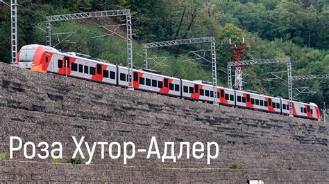 Электричка Роза Сочи — Naiti-foto-chela.ru