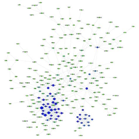 Protein Protein Interaction Network Of Common Degs The Size And