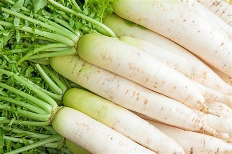 White Radish