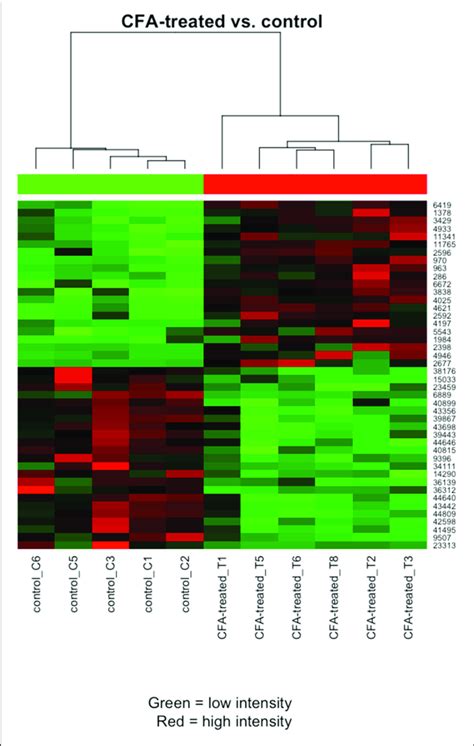 Heat Map Clustering Of The Most Differentially Expressed Transcripts Download Scientific