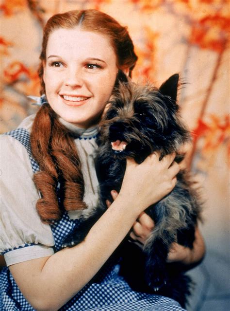 Wizard of Oz Stills - Classic Movies Photo (19565928) - Fanpop