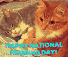 Happy National Hug Day GIFs - Find & Share on GIPHY