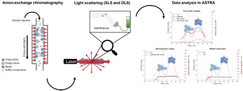 Ijms Free Full Text Biophysical Characterization Of Adeno Associated Virus Vectors Using Ion