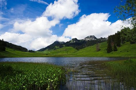 Lake Pond Marsh Free Photo On Pixabay Pixabay