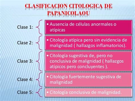 Examen De Papanicolaou