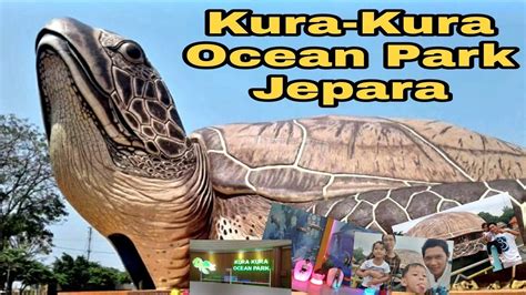 Kura Kura Ocean Park Jepara Pantai Kartini Jepara Jawa Tengah