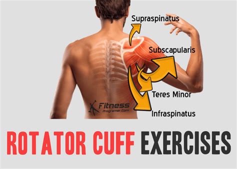 The Best Rotator Cuff Strengthening Routine BULLETPROOF YOUR SHOULDERS