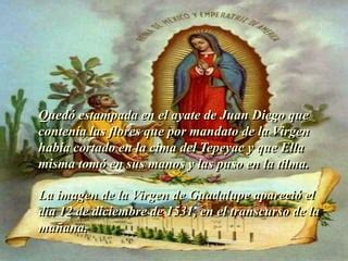 Nuestra Senora De Guadalupe PPT