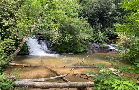 Best Trails Near Fowler Creek Falls Alltrails