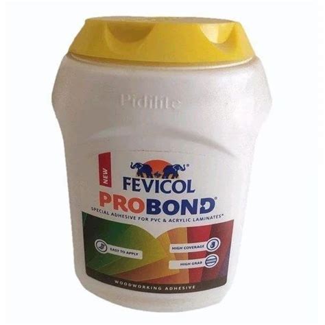 Fevicol Probond Adhesive 1 Kg At Rs 430kg In Bengaluru Id